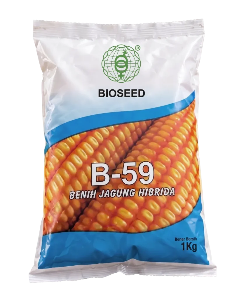 B-59 Si Handal